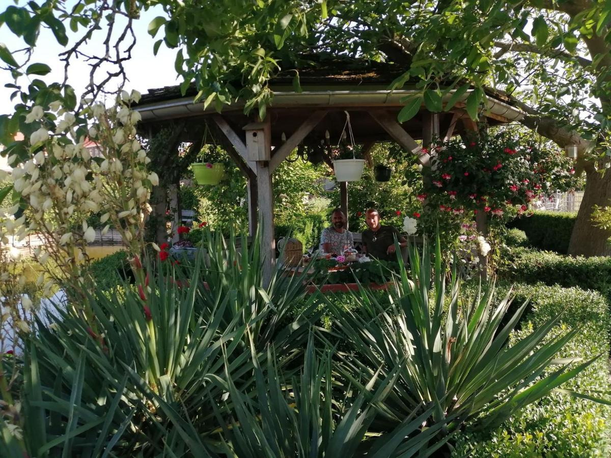 B&B De Rentmeesterhoeve Reningelst Dış mekan fotoğraf
